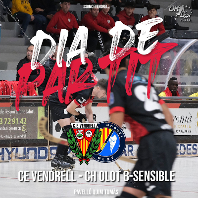 JORNADA 16 - OK LLIGA PLATA